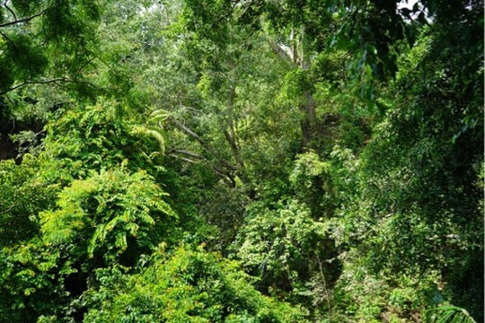 Oceania